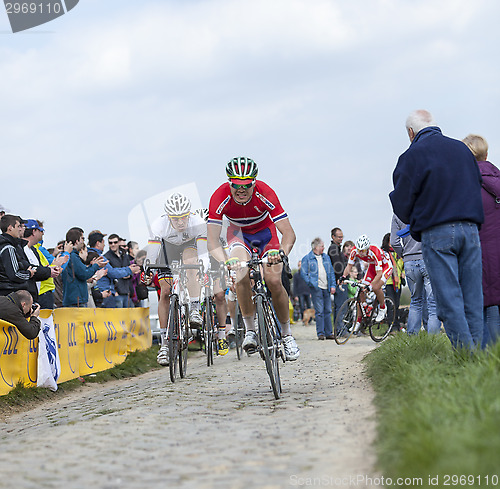 Image of The Peloton at Carrefour de l'Arbre