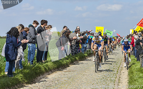 Image of The Peloton- Paris Roubaix 2014