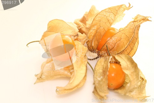 Image of physalis fruit