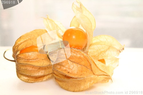 Image of physalis fruit