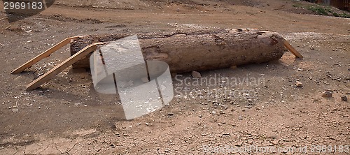 Image of A wooden training log on the ground