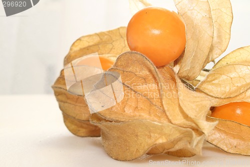 Image of physalis fruit