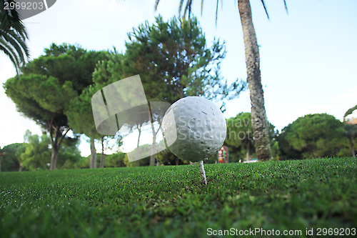Image of Golf Ball