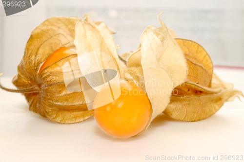 Image of physalis fruit