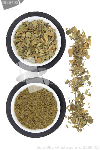 Image of Ginkgo Biloba Herb