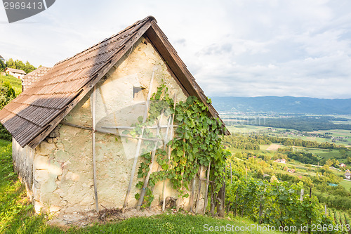 Image of Vineyard cottage.