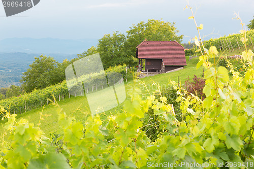 Image of Vineyard cottage.