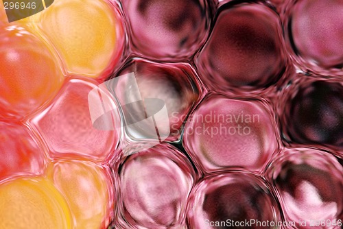 Image of red bubbles