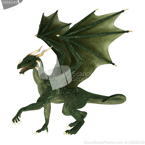 Image of Fantasy Dragon