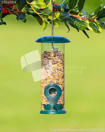 Image of Bird feeder full of seeds