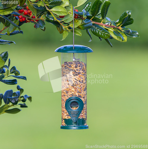 Image of Bird feeder full of seeds