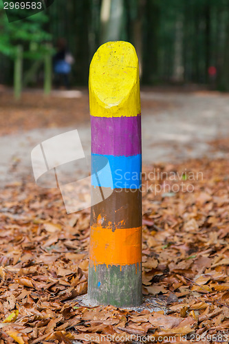 Image of Painted marking in a dutch forrest