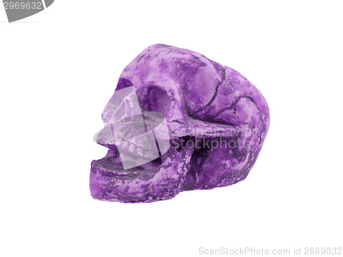 Image of Single old skull isolated