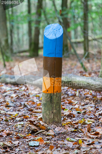 Image of Painted marking in a dutch forrest