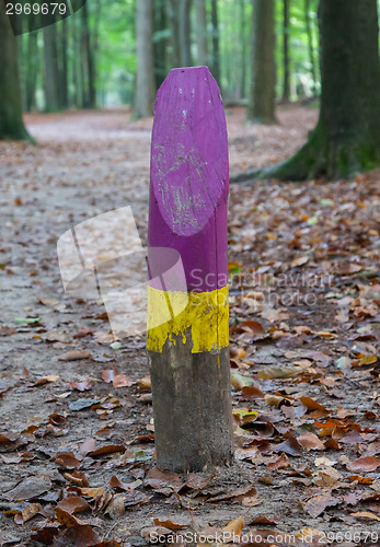 Image of Painted marking in a dutch forrest