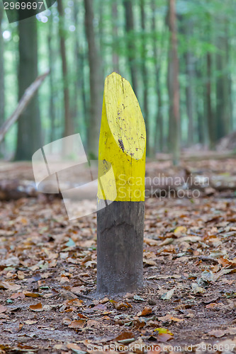 Image of Painted marking in a dutch forrest