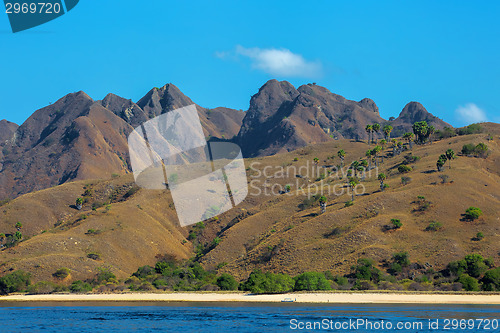 Image of Komodo Island