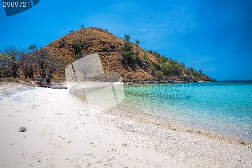 Image of Komodo Island