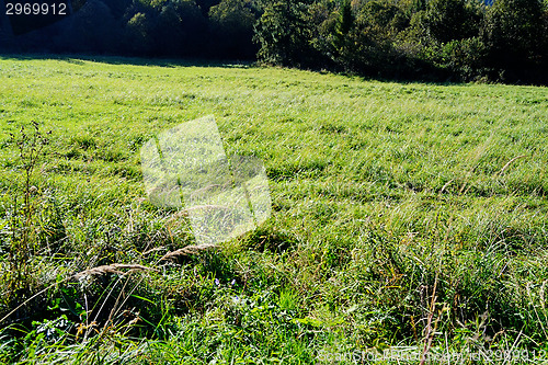 Image of Field