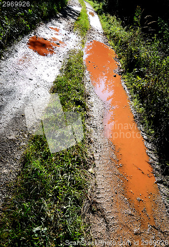 Image of Forest Road