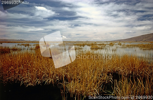 Image of Lake Titicaca