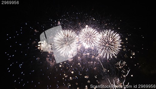 Image of  Firework any festival in the world