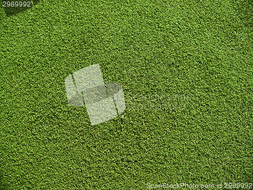 Image of Soccer field grass on the green