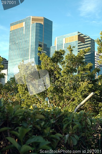 Image of skyscrapers in jungle