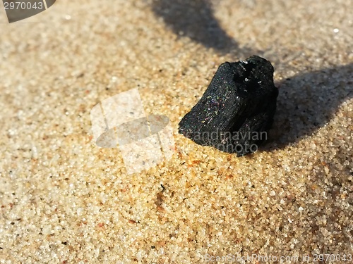 Image of Burned Log on Sand Beach