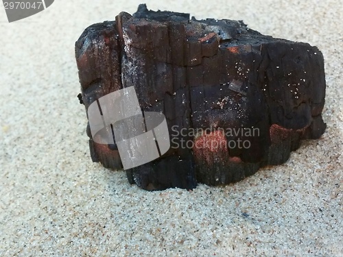 Image of Burned Log on Sand Beach