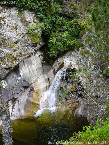 Image of River deep in mountain forest.