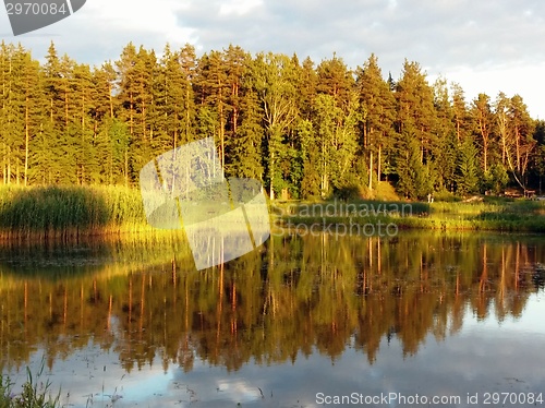 Image of Idyllic forest by the lake in autumn