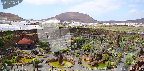 Image of Beautiful cactus park on Lanzarote island