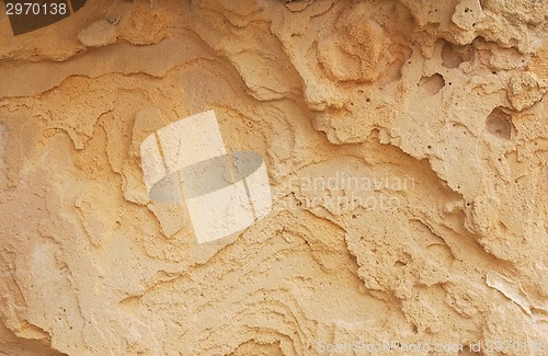 Image of Dry yellow Texture for background
