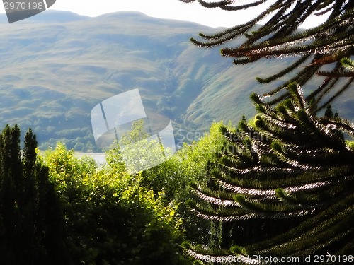 Image of Scottish Highlands