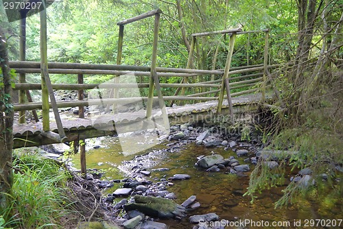 Image of river in the forest with bridge