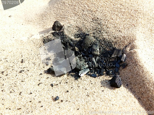 Image of Burned Log on Sand