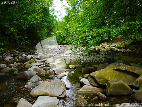 Image of River deep in mountain forest.