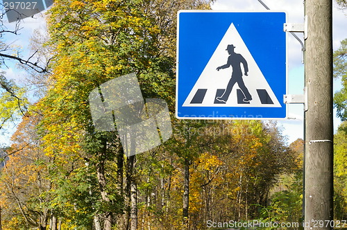 Image of Pedestrian crossing