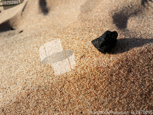 Image of Burned Log on Sand Beach