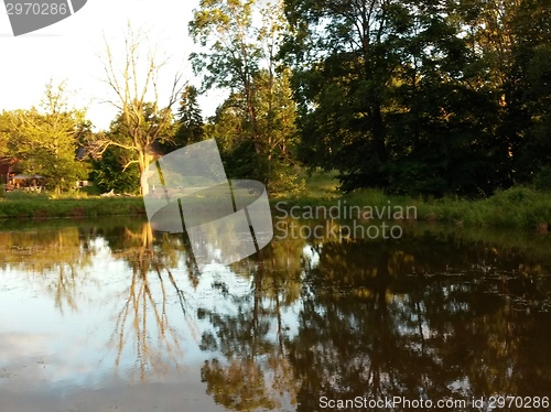Image of Idyllic forest by the lake in autumn