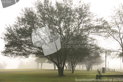 Image of Misty Morn