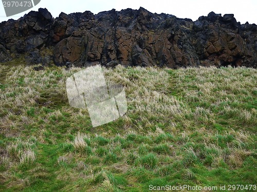 Image of Texture of grass and montain