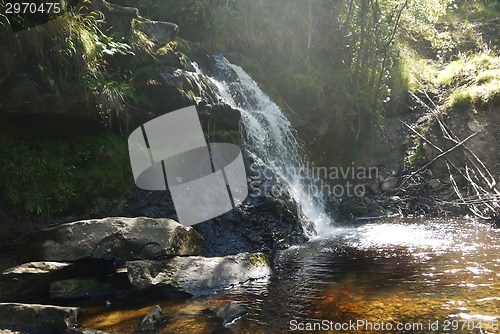Image of river in the forest , waterfall