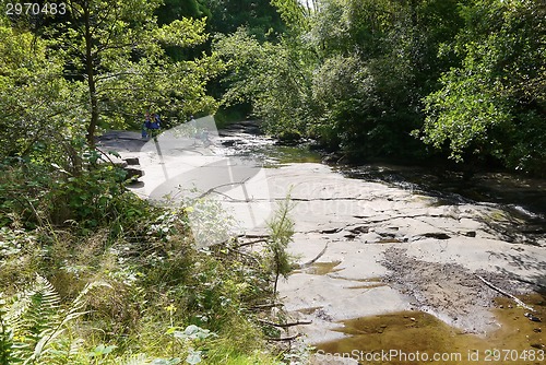 Image of river in the forest with bridge