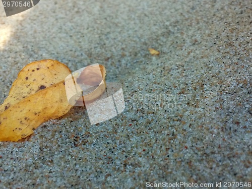 Image of Autumn on the beach