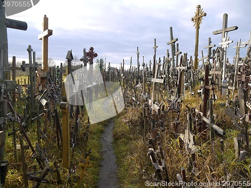 Image of Hill of Crosses, Lithuania