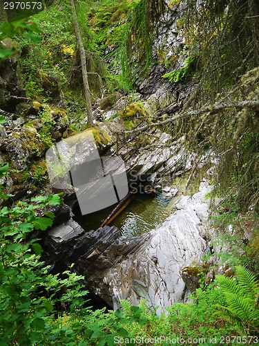 Image of River deep in mountain forest.