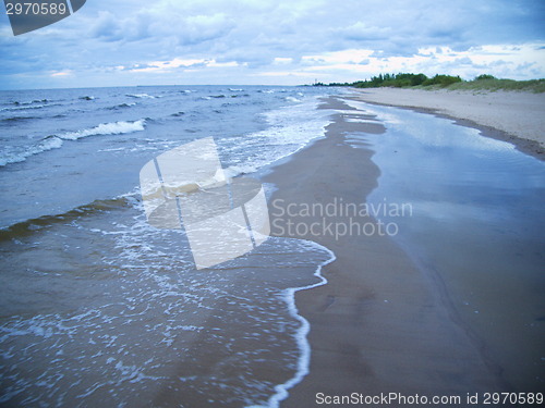 Image of wave in the Baltic Sea