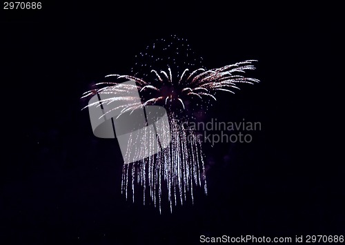 Image of  Firework any festival in the world